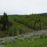 idaho land for sale Teton River Farms-