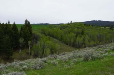 idaho land for sale Teton River Farms-