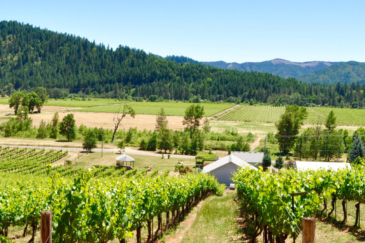 oregon vineyard for sale deer creek vineyard