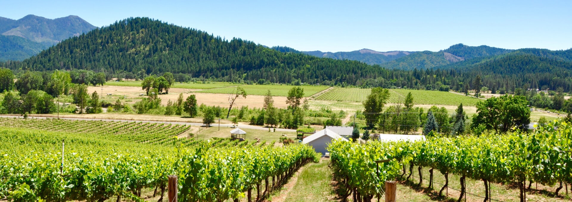 oregon vineyard for sale deer creek vineyard