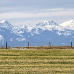 montana ranches for sale lookout point at bridger shadows farm