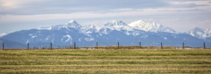 montana ranches for sale lookout point at bridger shadows farm