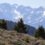 montana ranches for sale trail creek refuge