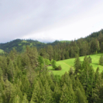 idaho ranches for sale clearwater river place