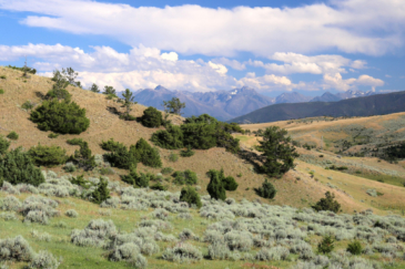 montana land for sale fleshman creek 240