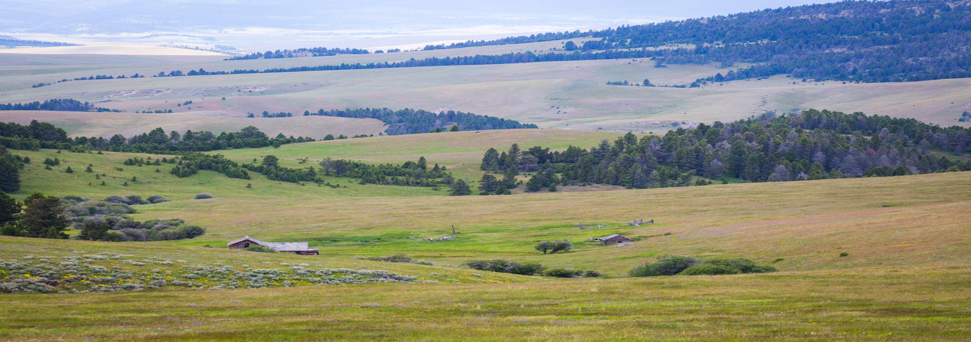 Castle Mountain Homestead Checkerboard Montana Fay Ranches