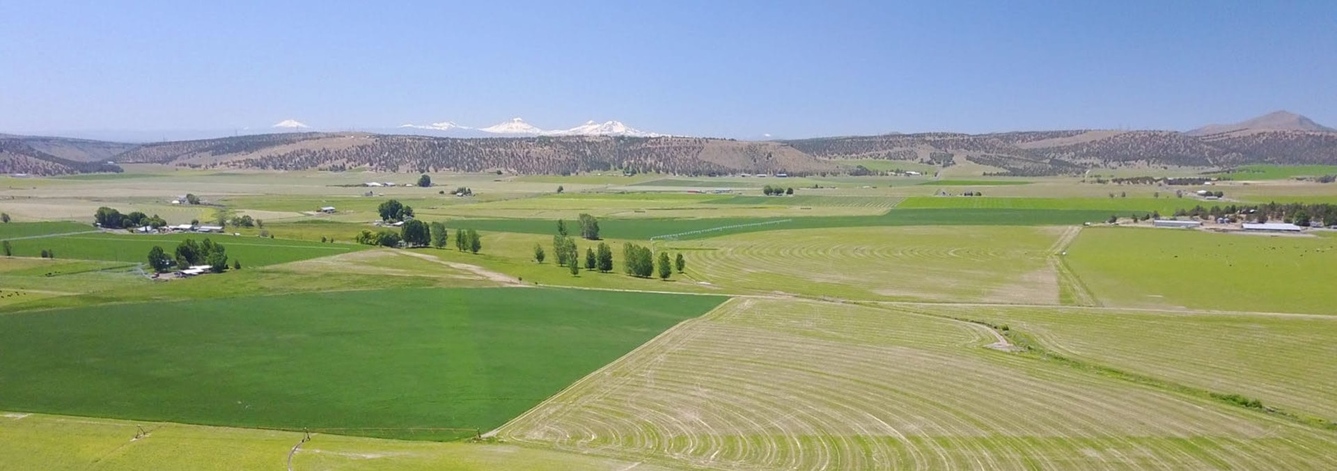 Lytle Creek Pivot Oregon Fay Ranches