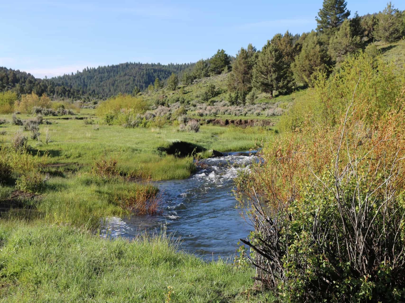 Flying S Ranch | World-Class Hunting Oregon | Fay Ranches