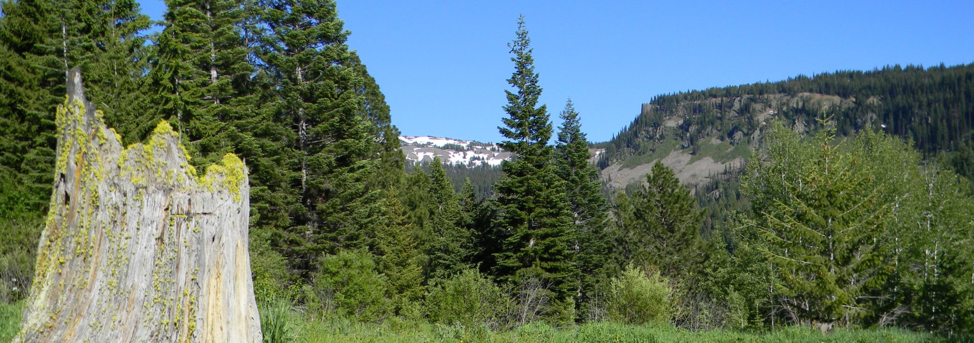 Idaho Ranch for Sale Dempsey Flat Hunting Property