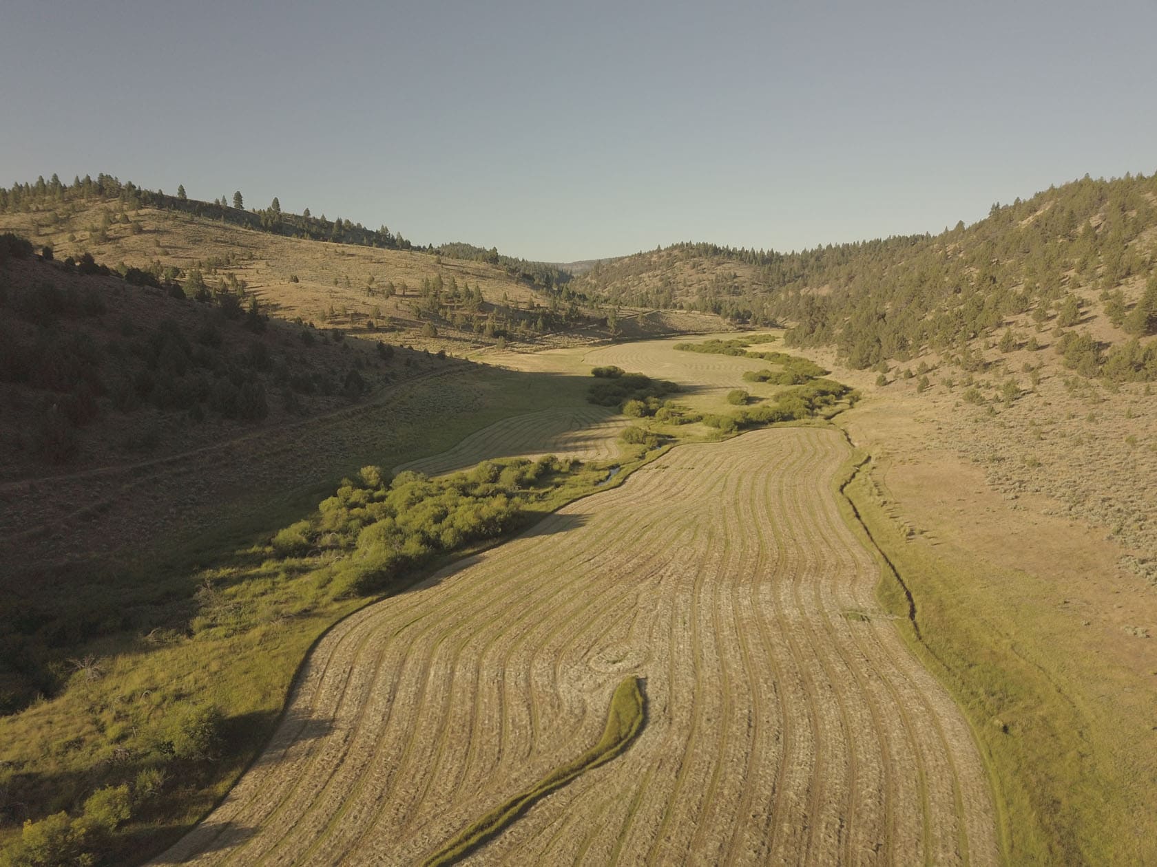 irrigated land oregon flying s ranch