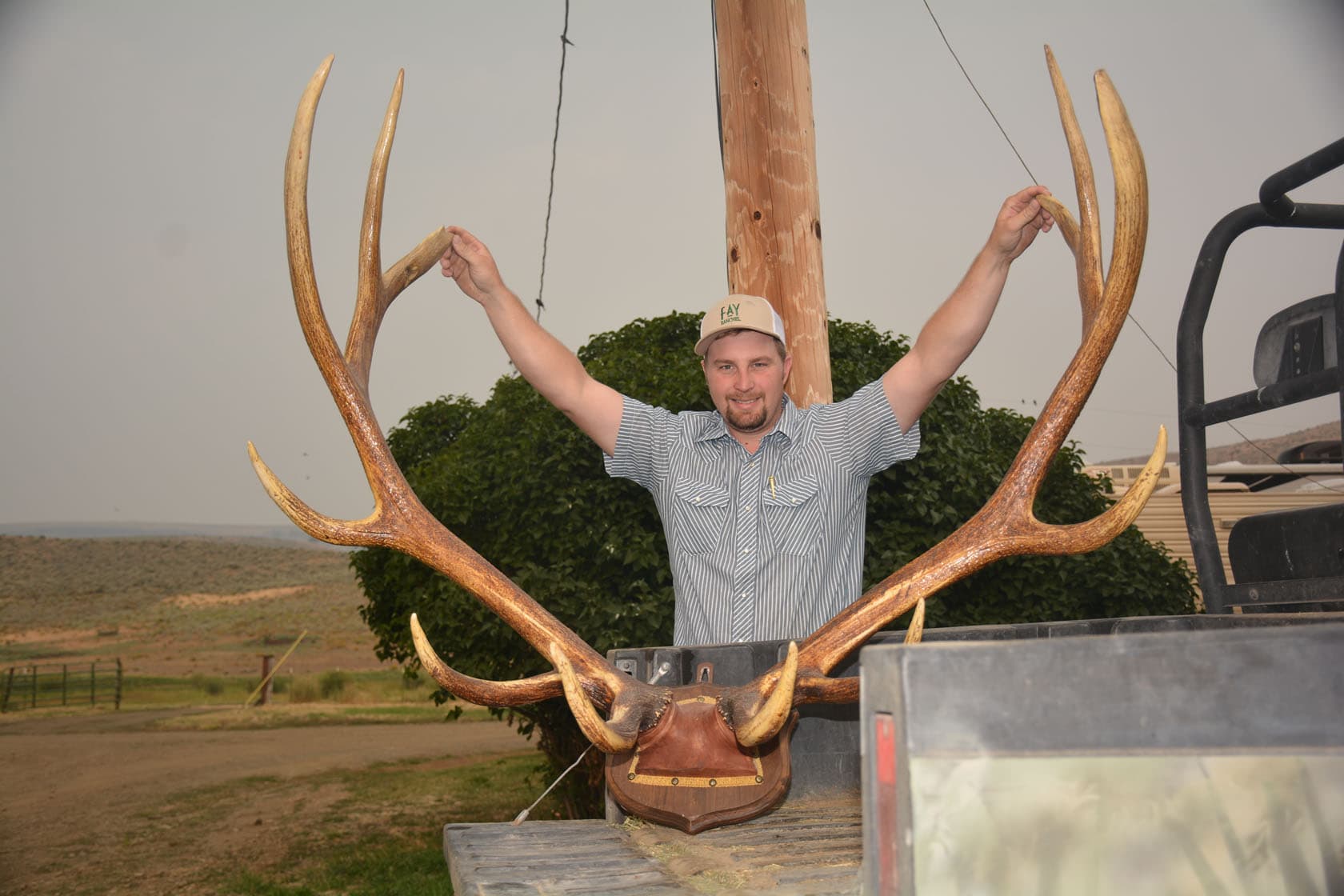 large mule horns oregon flying s ranch