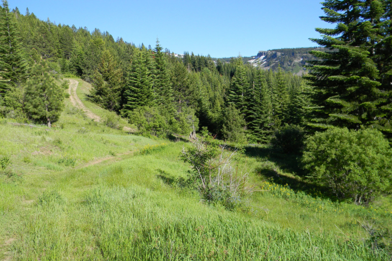 Dempsey Flat Hunting Property Pollack Idaho Fay Ranches