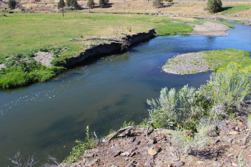 Cottonwood Ranch - Oregon | Fay Ranches