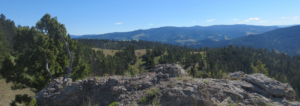 montana property for sale llingshire ranch