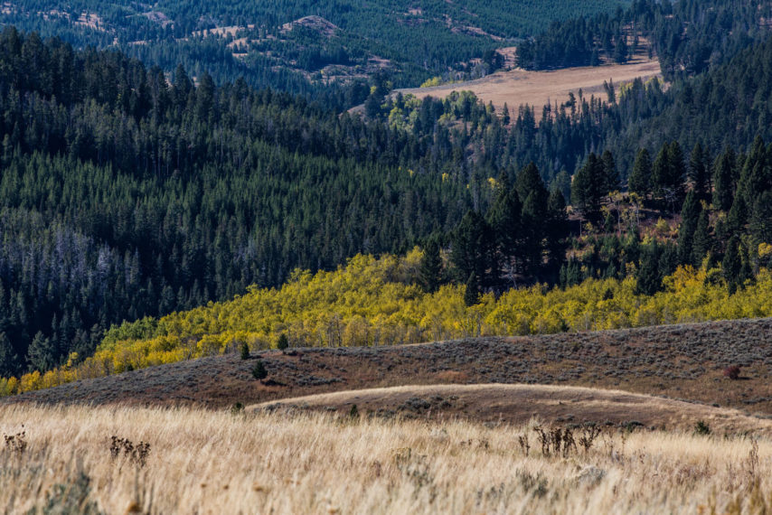 Montana Property For Sale Trail Creek 160East Fay Ranches