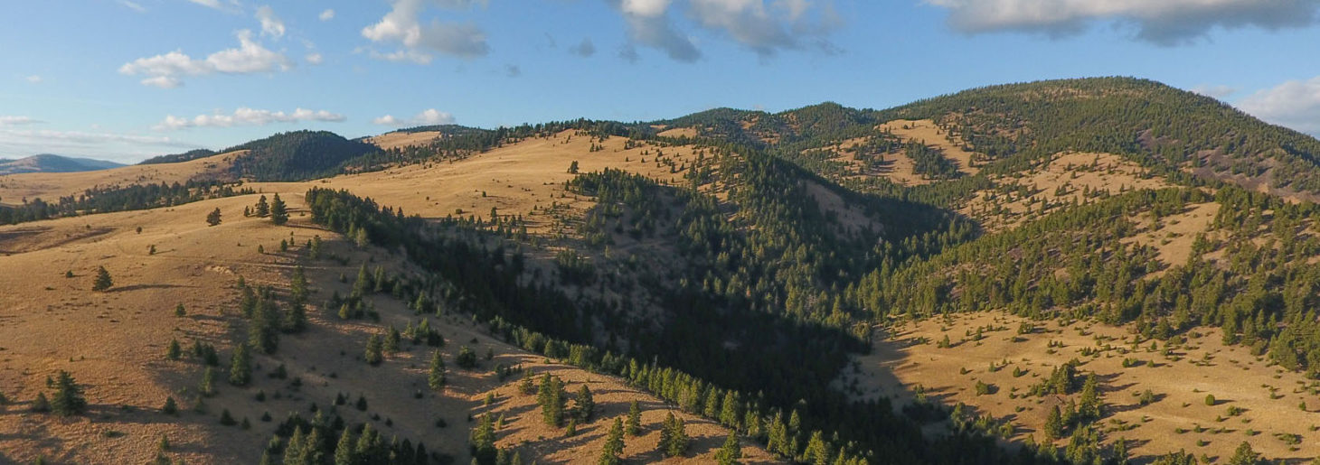 Garrison Mountain Ranch Fay Ranches