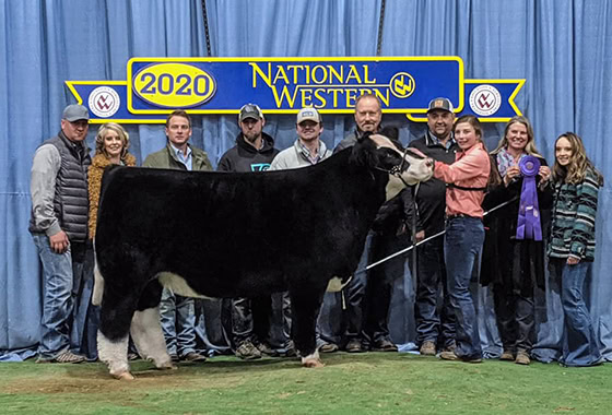Kimberly Lowry Montana Real Estate Broker Rancher Grand Champion