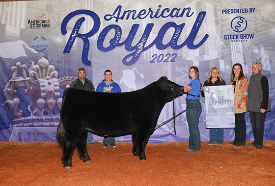 kimberly lowry montana ranch broker american royal stock show 2022