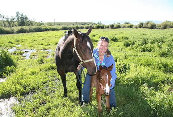 kimberly lowry montana ranch broker horses