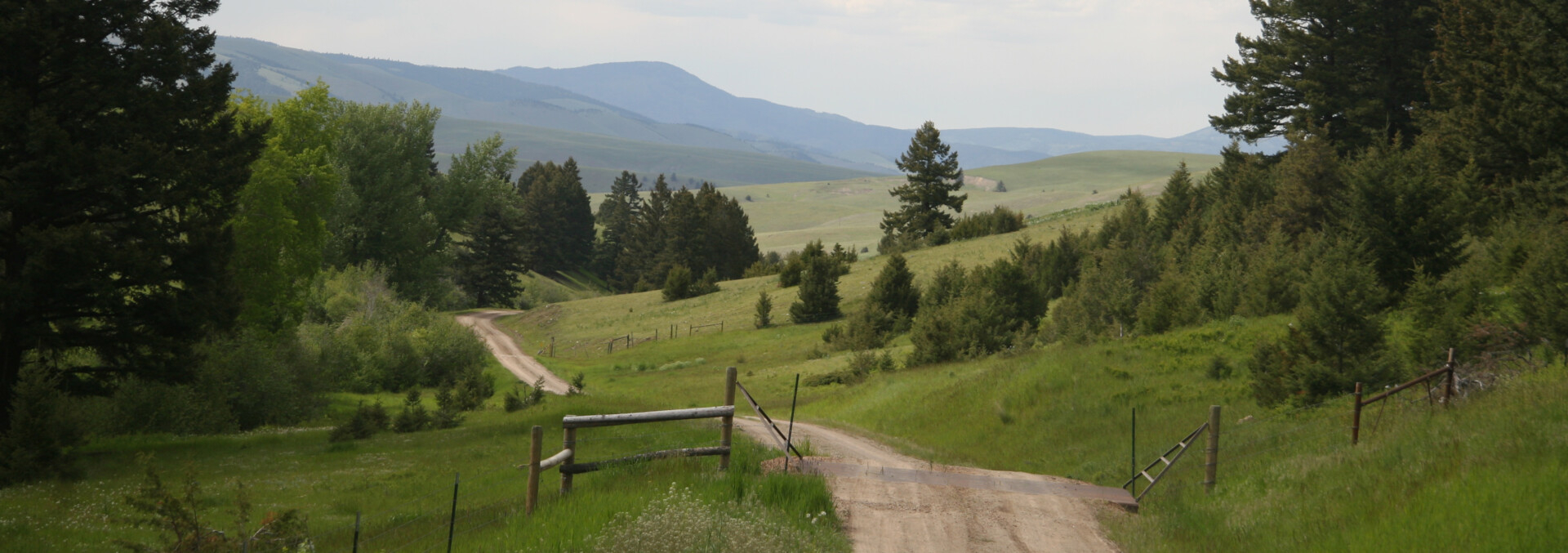 montana ranches for sale gird creek ranch
