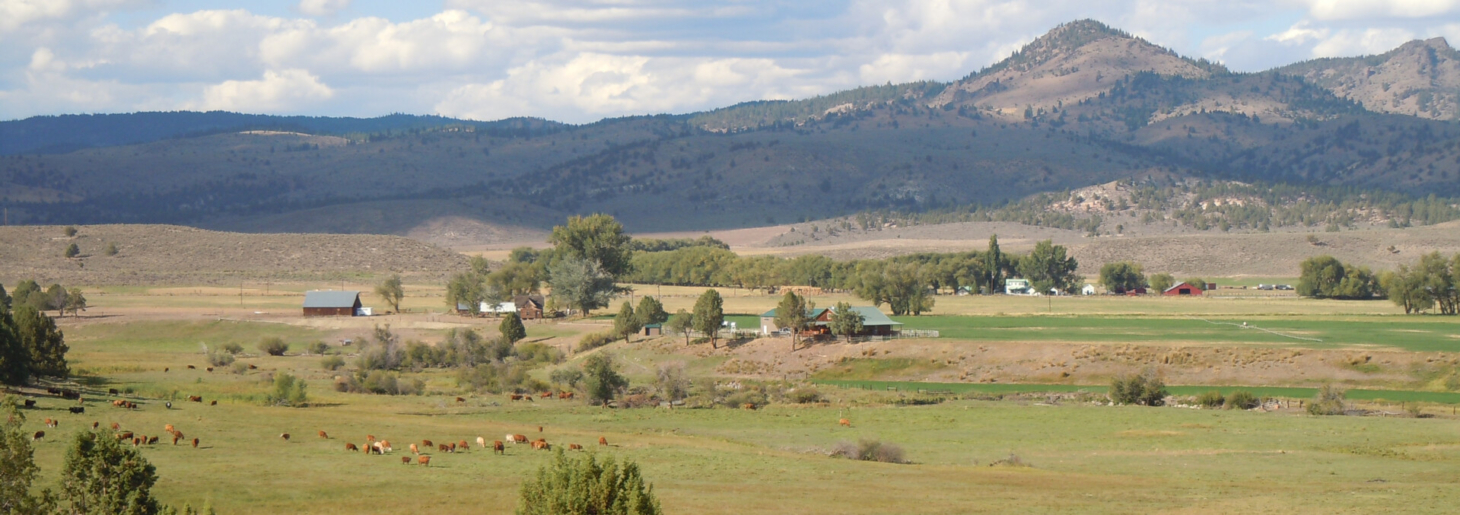 The Silva Ranch | Fay Ranches