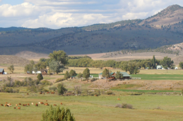 oregon ranches for sale silver ranch