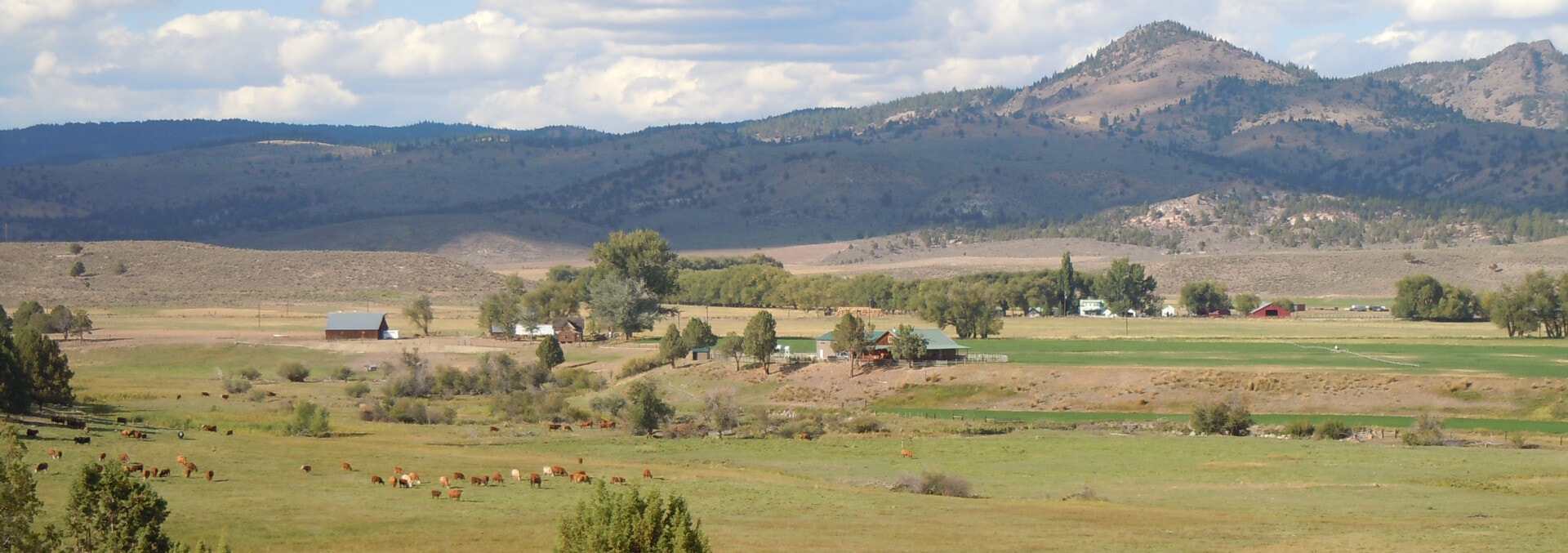 oregon ranches for sale silver ranch Fay Ranches