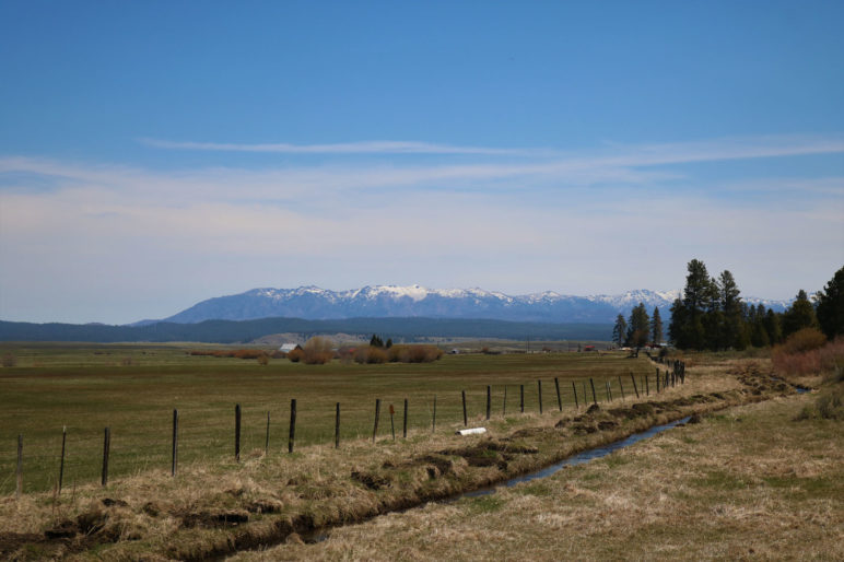 Bear Valley 96 Ranch - Seneca, Oregon | Fay Ranches