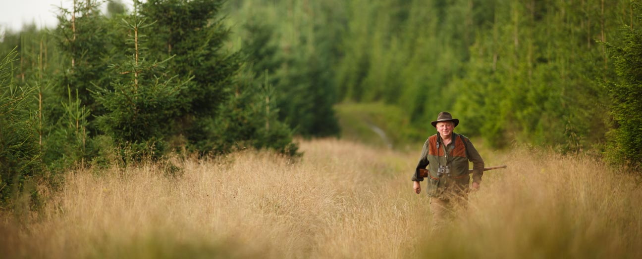 Oregon Offers Great Elk Hunting