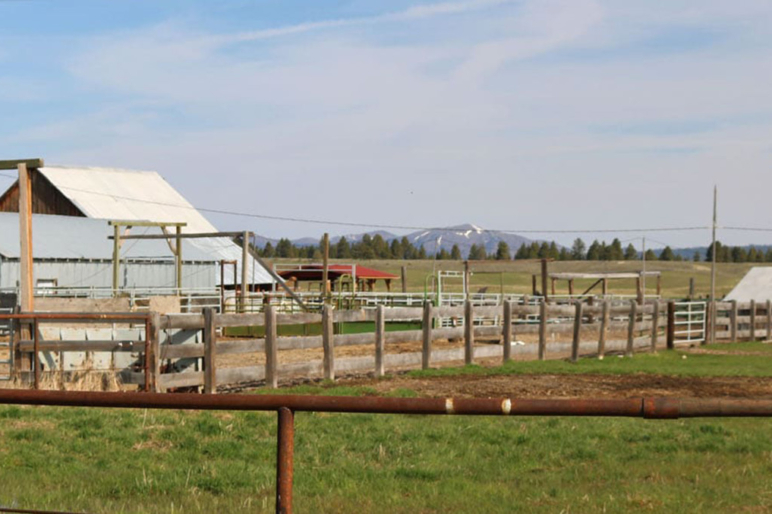 Hicks Team Fay Ranches LLC Fay Ranches