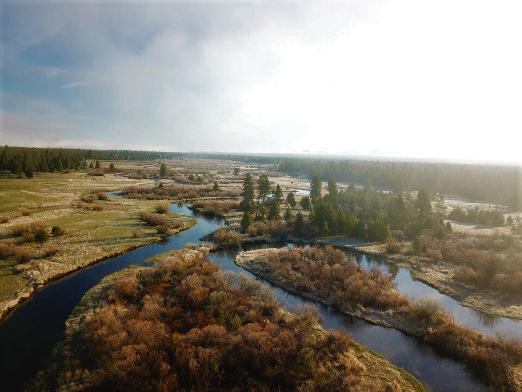 overview of land oregon No Bad Days River Retreat