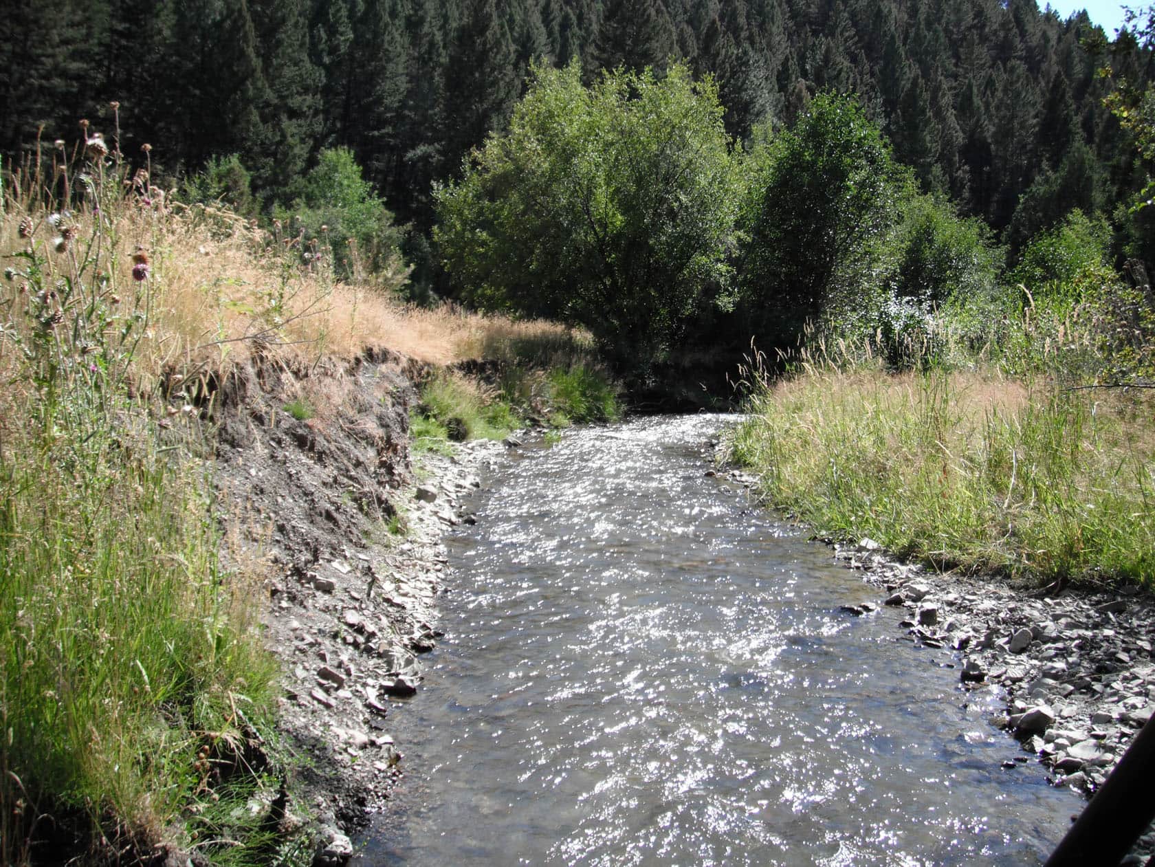 creek bottom 4 | Fay Ranches
