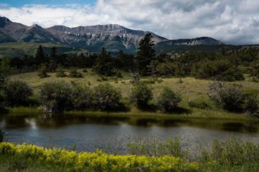 Deep Canyon Ranch Montana Property For Sale