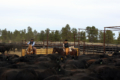 kebi smith montana wyoming rea -estate agent cattle