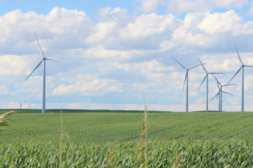 Montana Wind Farm for Sale North Marias Farm