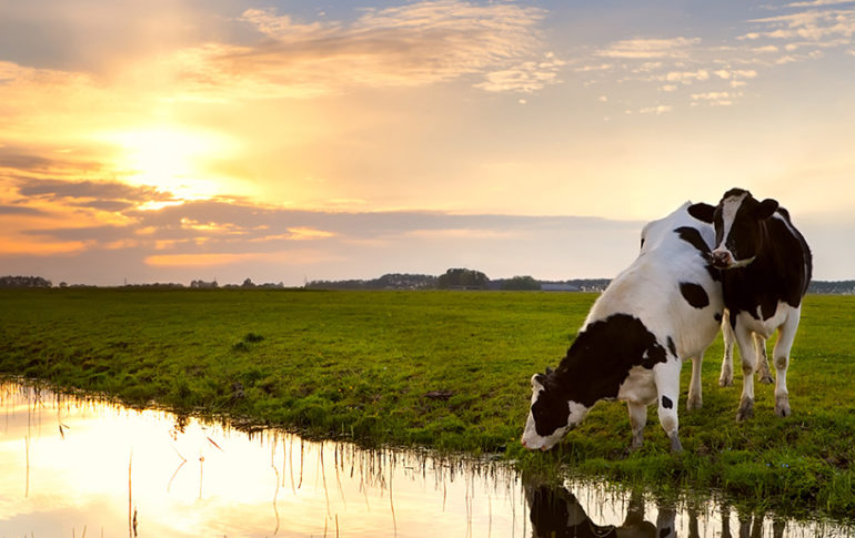 types-of-water-rights-and-water-easements