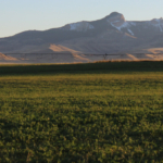 wyoming ranch for sale veo irrigated farm