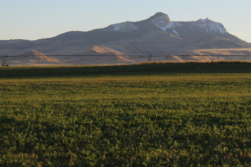 wyoming ranch for sale veo irrigated farm