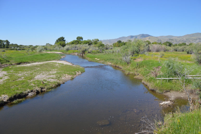 River Island Ranch | Fay Ranches