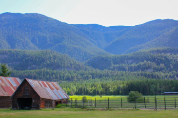 idaho land for sale thunder mountain wildlife estate