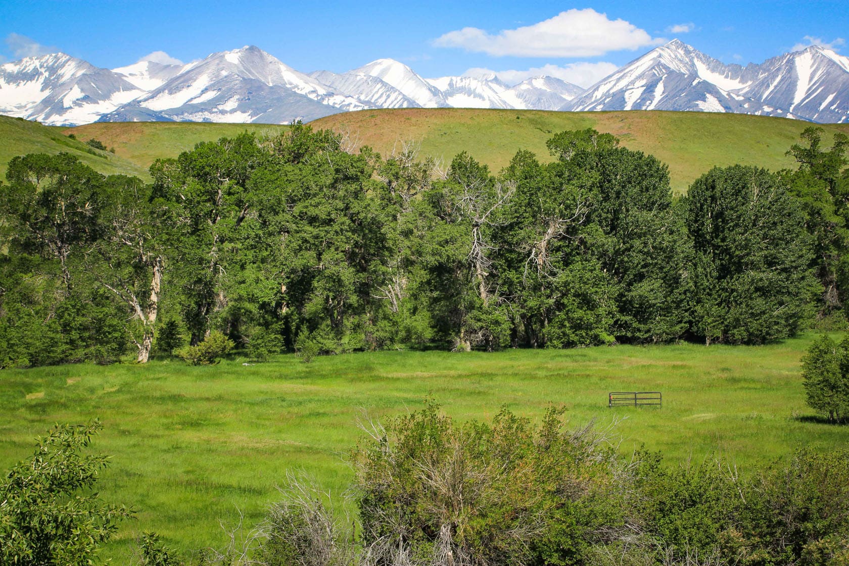 nature scenery montana high alpine ranch