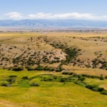 montana ranch for sale the ranch at dry creek