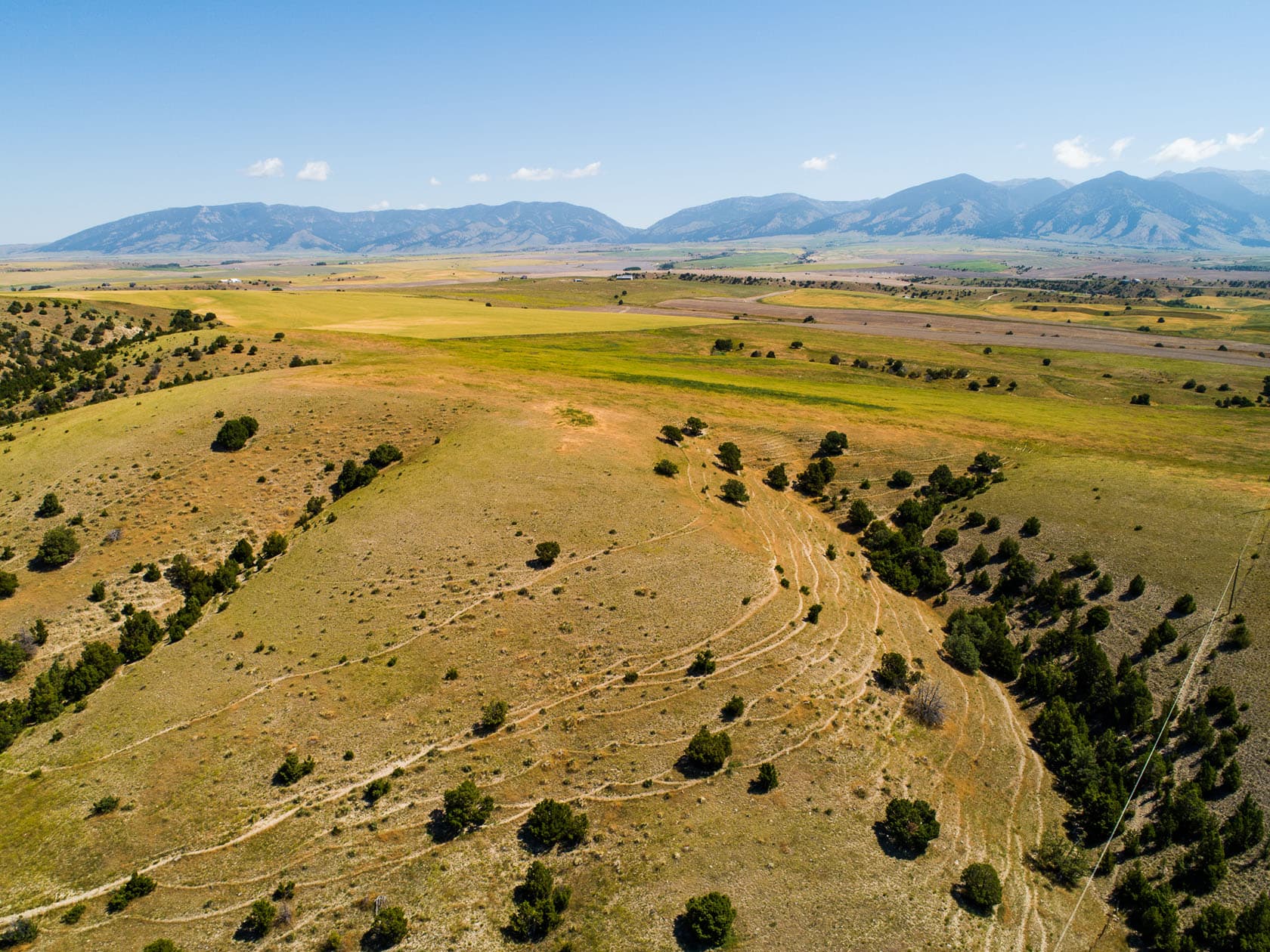 wildlife hunting opportunity montana the ranch at dry creek