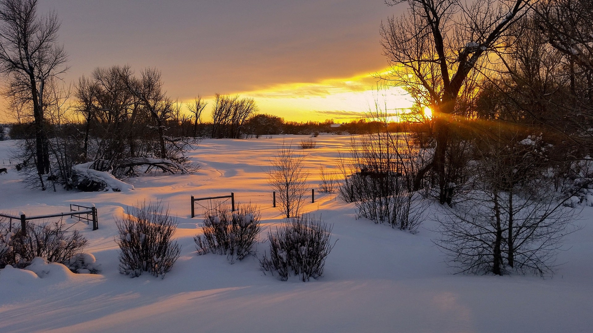 Henry's Fork Ranch Winter Sunset