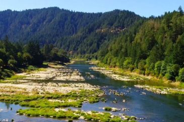 Oregon River Frontage For Sale Umpqua River Estate Umpqua OR