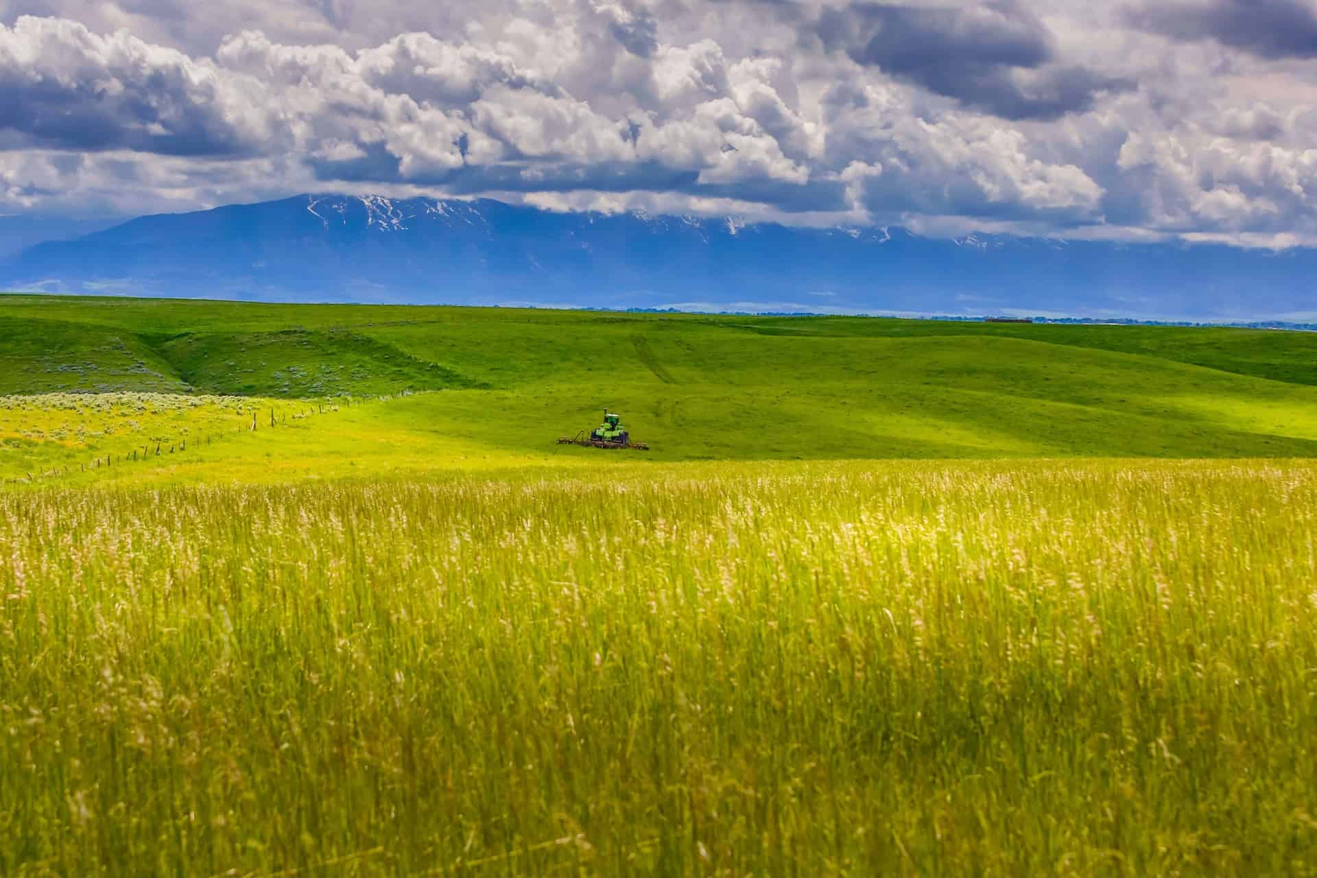 Agriculture is Montana Top Industry
