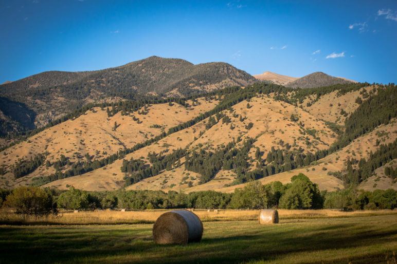 Elkhorn Ranch Images Ranch Living Close to Town | Fay Ranches
