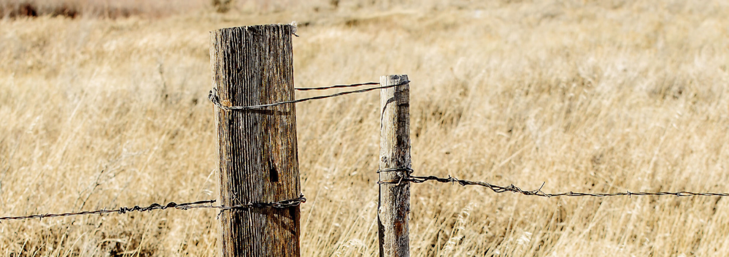 Good Fences Make Good Neighbors | Land Investor Magazine | Fay Ranches