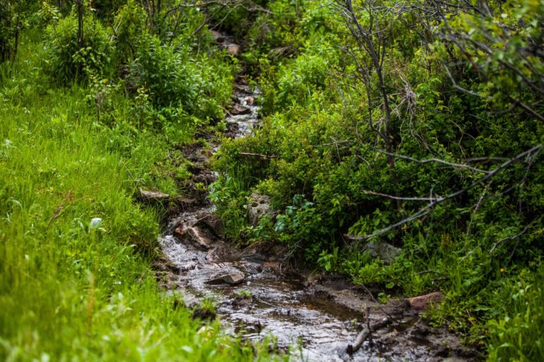 Elk Haven Ranch Montana Elk Property For Sale Fay Ranches