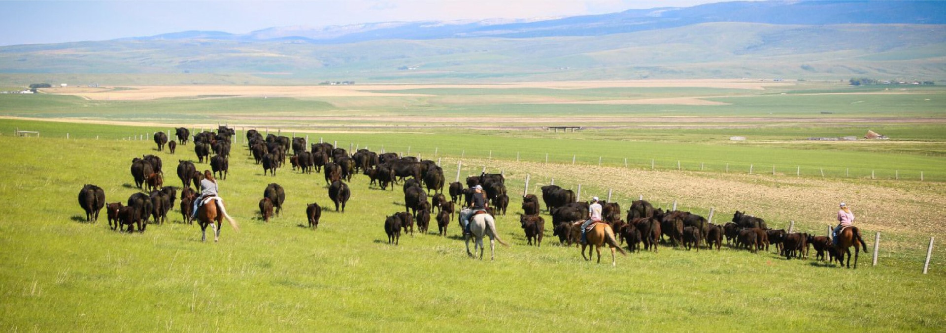 Supporting Agriculture Throughout The Montana Landscapes